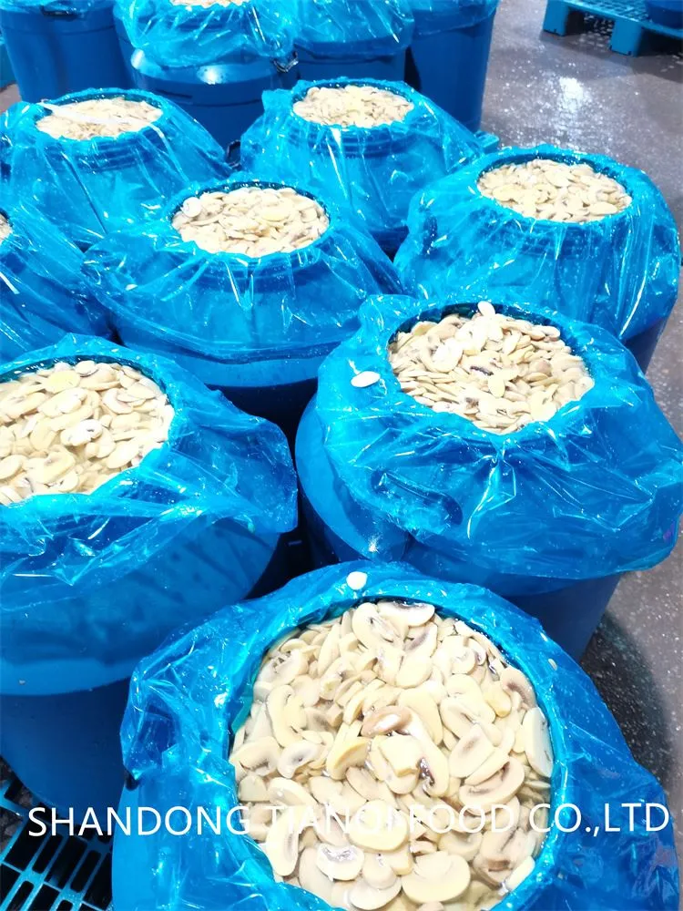 high quality mushroom in brine in drums