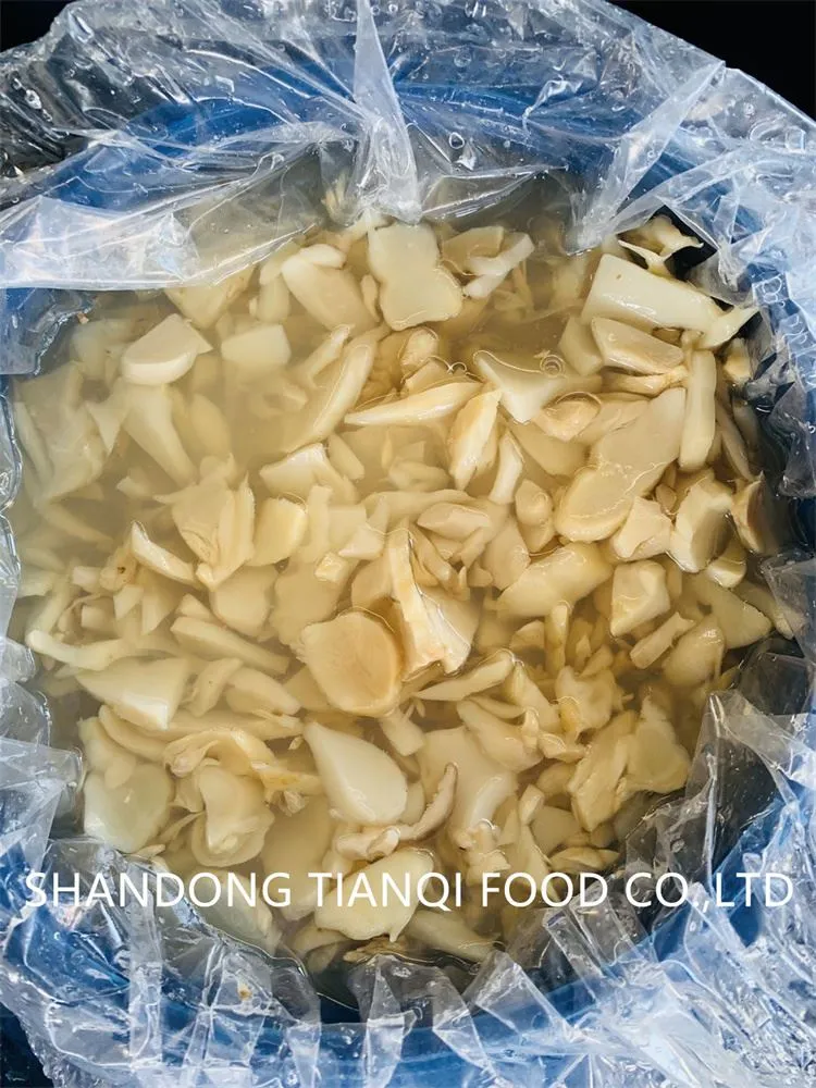 Best factory king oyster mushroom in brine in drums