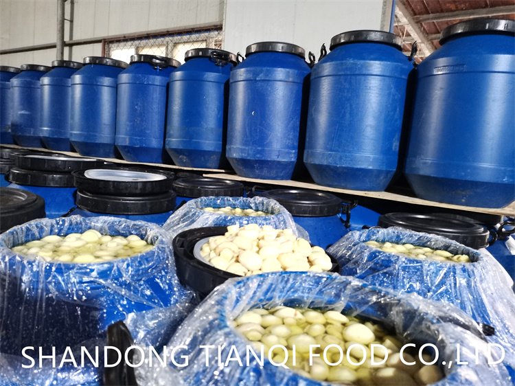 Drum packing salty white mushroom in brine Drum packing salty white mushroom in brine