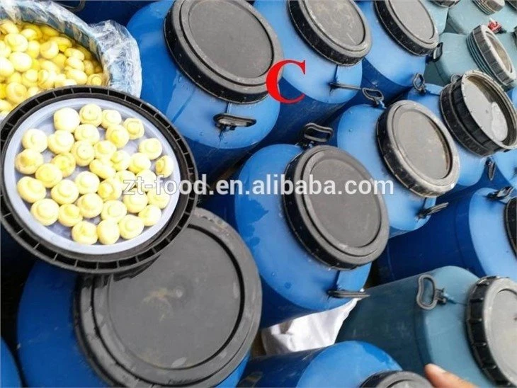 Good quality white mushroom in brine in drums