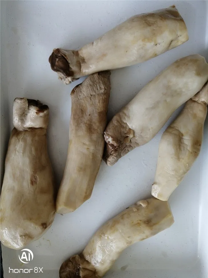 Brined king oyster mushroom in drums
