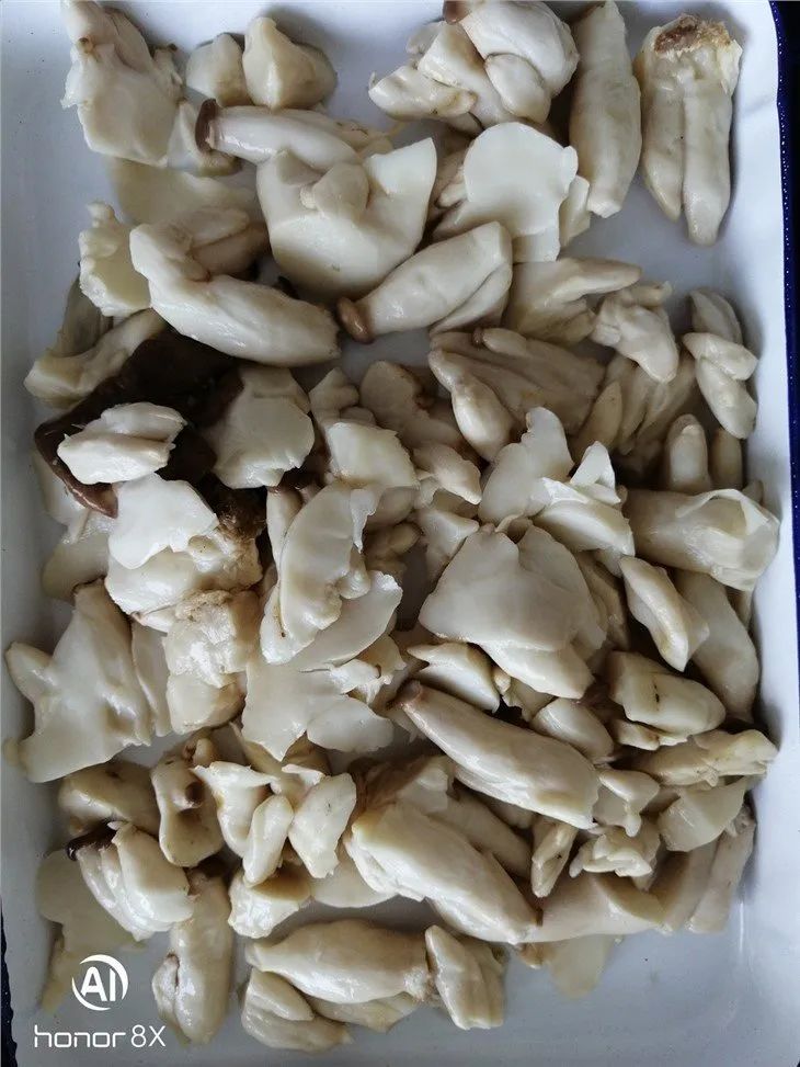 Sliced king oyster mushroom in salted water in drums