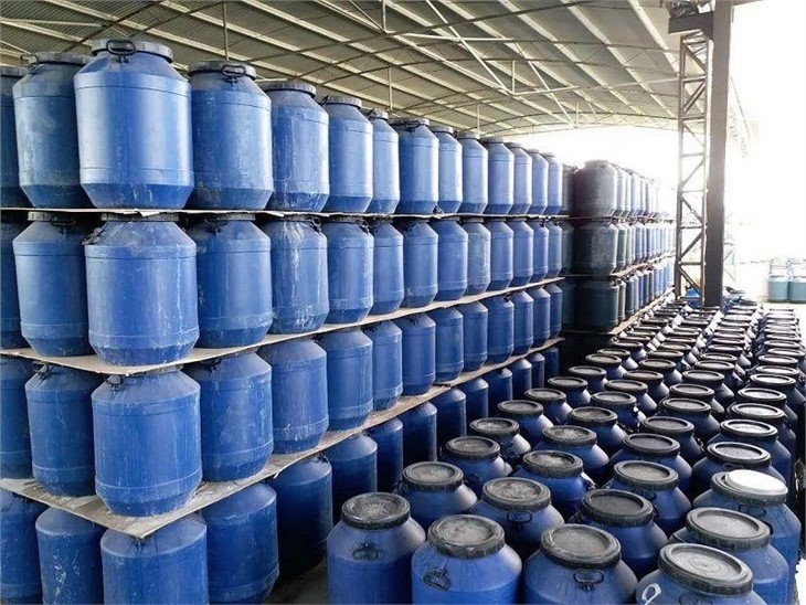 Factory drum packing champignon in brine in drums