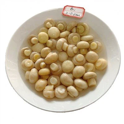 50kg soolveeseen trummis