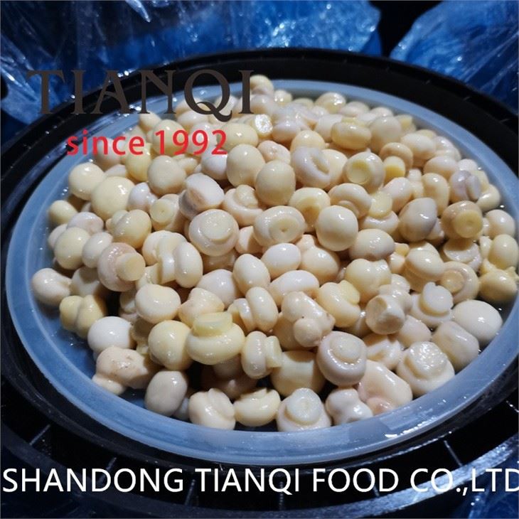 Best whole white mushroom in salty water in drums