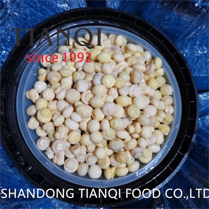Whole/sliced white mushroom in plastic drums