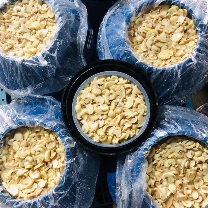 Salted Mushroom Slices in Big Drums