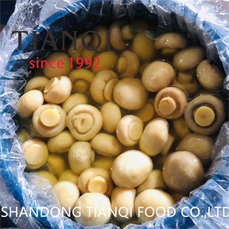 Cultivated slice mushroom in brine in drums