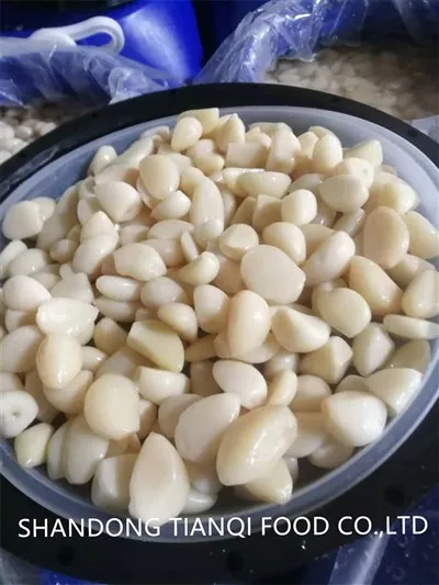 Hiina kooritud küüslauguküüned soolvees trummis