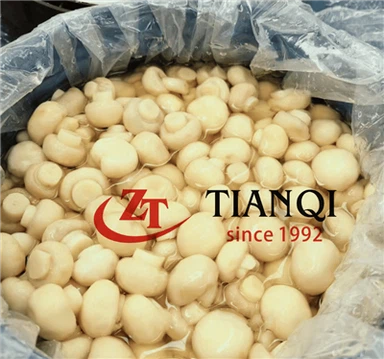 Seen Agaricus Konservatooriumis trummides