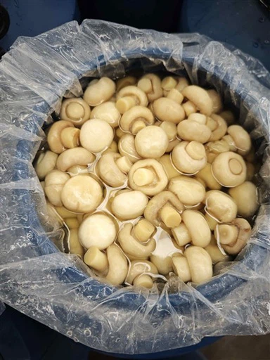 Seene soolvees plastiktünnis