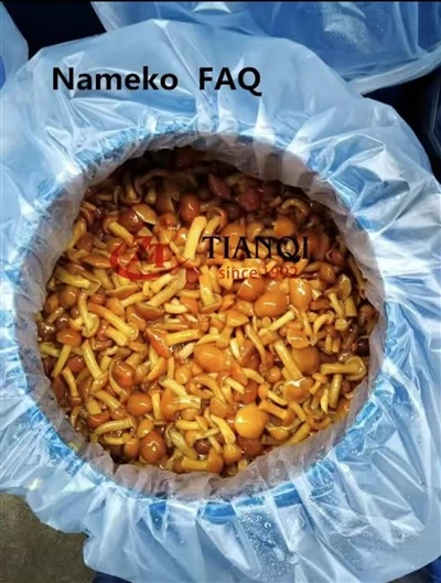 Nameko soolvees trummis KKK