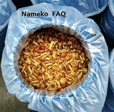 Nameko soolvees trummis KKK